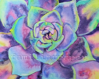 Succulent (Echeveria): 8x10 Print of Original Watercolor Painting