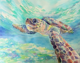 Sea Turtle - Print of Original Watercolor Painting