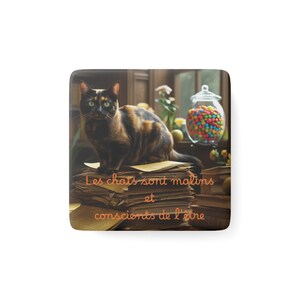 Tortoiseshell cat magnet, cute cat fridge decoration, gift for cat lovers, with French quote.