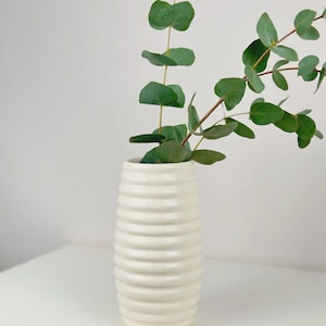 Può includere: Un vaso in ceramica color crema, a coste, contiene rami di eucalipto freschi con foglie verdi rotonde. Il vaso è appoggiato su una superficie bianca, creando un'estetica minimalista e naturale. Il vaso è alto circa 20 cm.