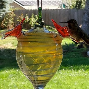May include: A glass hummingbird feeder with a yellow and green body and two red, wing-shaped perches. A hummingbird is perched on one of the perches. The feeder is hanging from a brown cord in a backyard setting.