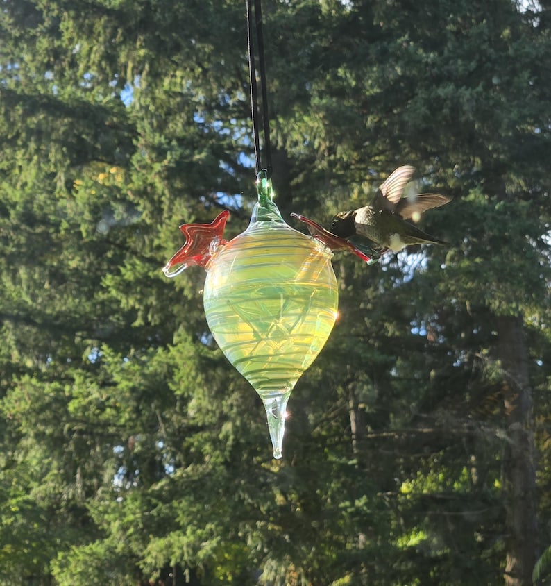 May include: A glass hummingbird feeder with a teardrop shape, filled with liquid. The feeder has red star-shaped perches and a green top. A hummingbird is feeding from the feeder, with its wings spread. The background is a blurred view of green trees.