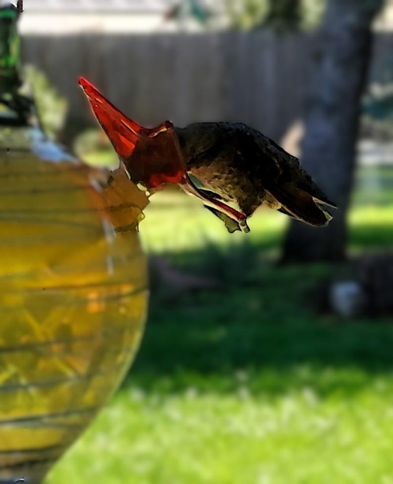 Glass Feeder Flowers – Pest-Free Perches in a Rainbow of Joy image 20