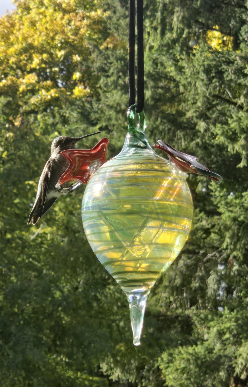 May include: A glass hummingbird feeder with a teardrop shape, featuring a green and yellow iridescent finish. The feeder has red star-shaped perches and is suspended by a black cord. A hummingbird is perched on the feeder.