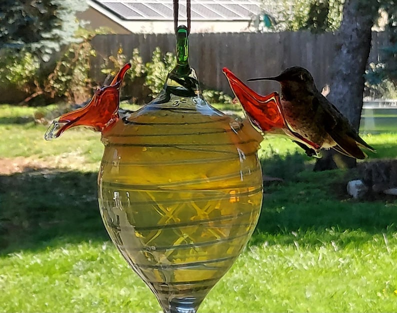 May include: A glass hummingbird feeder with a yellow and green body and two red, wing-shaped perches. A hummingbird is perched on one of the perches. The feeder is hanging from a brown cord in a backyard setting.