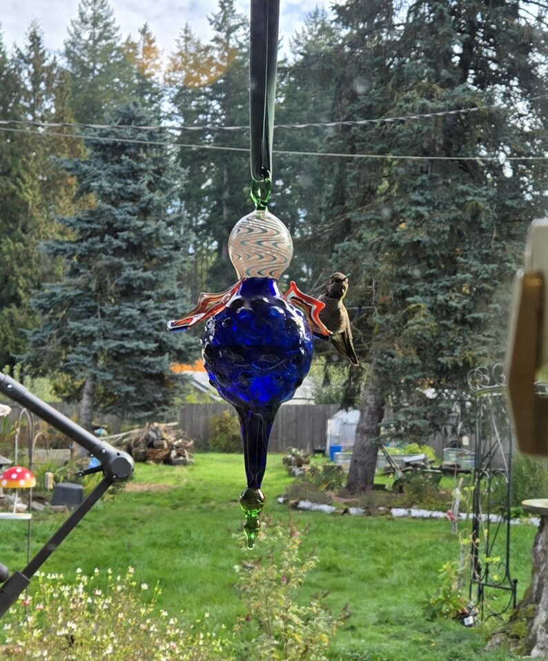 May include: A handcrafted glass bird feeder with a deep blue body, a white and clear patterned globe, and red and orange accents. A small hummingbird perches on the feeder. The feeder hangs from a green ribbon against a backdrop of trees.