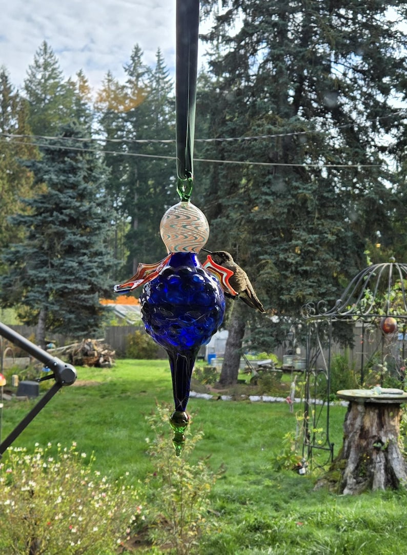 May include: A handcrafted glass hummingbird feeder. The feeder features a deep blue, teardrop-shaped body with red and orange accents, topped with a clear, swirled glass globe. A hummingbird is perched on the feeder, feeding. The feeder hangs from a green ribbon.