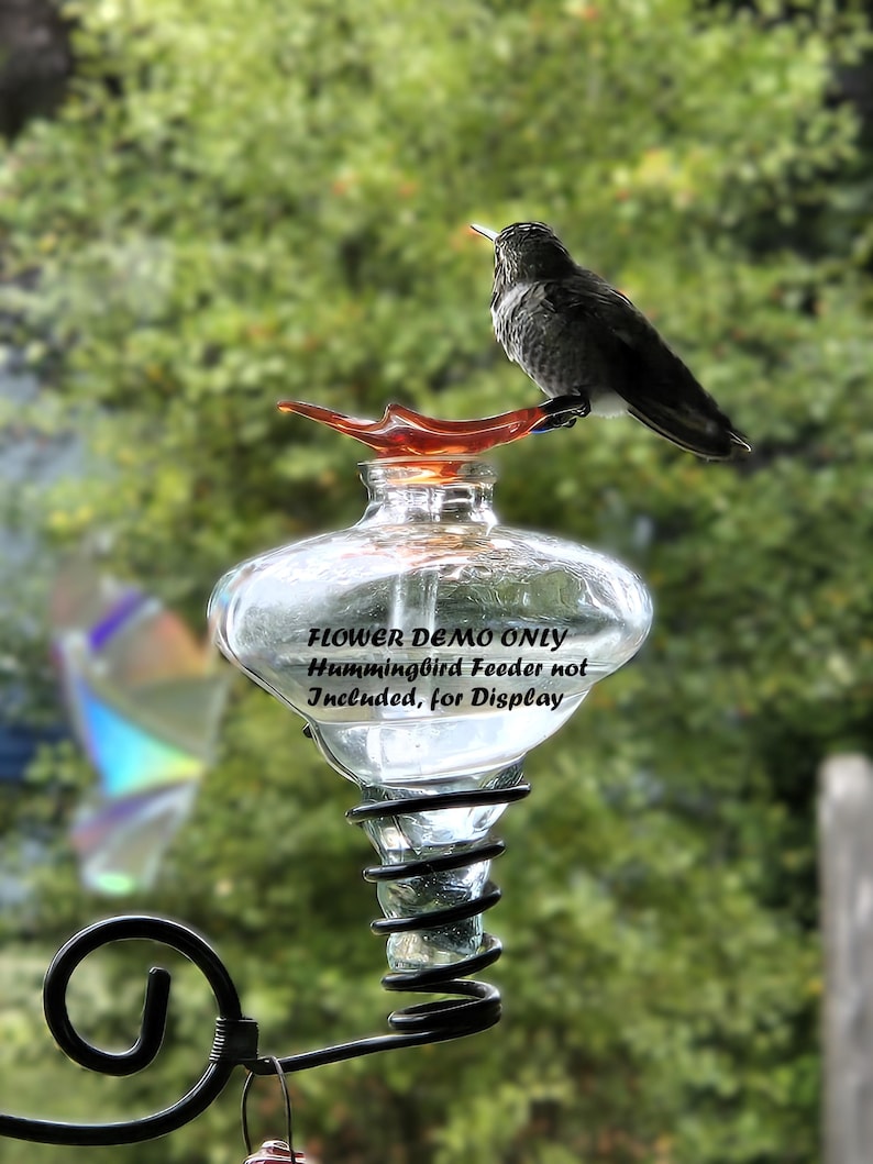 Glass Feeder Flowers – Pest-Free Perches in a Rainbow of Joy image 6