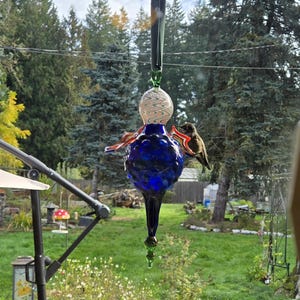 May include: A decorative glass hummingbird feeder with a blue, teardrop-shaped body and a clear, swirled glass globe. The feeder has red and orange accents and is suspended from a black rod. A hummingbird is perched on the feeder.