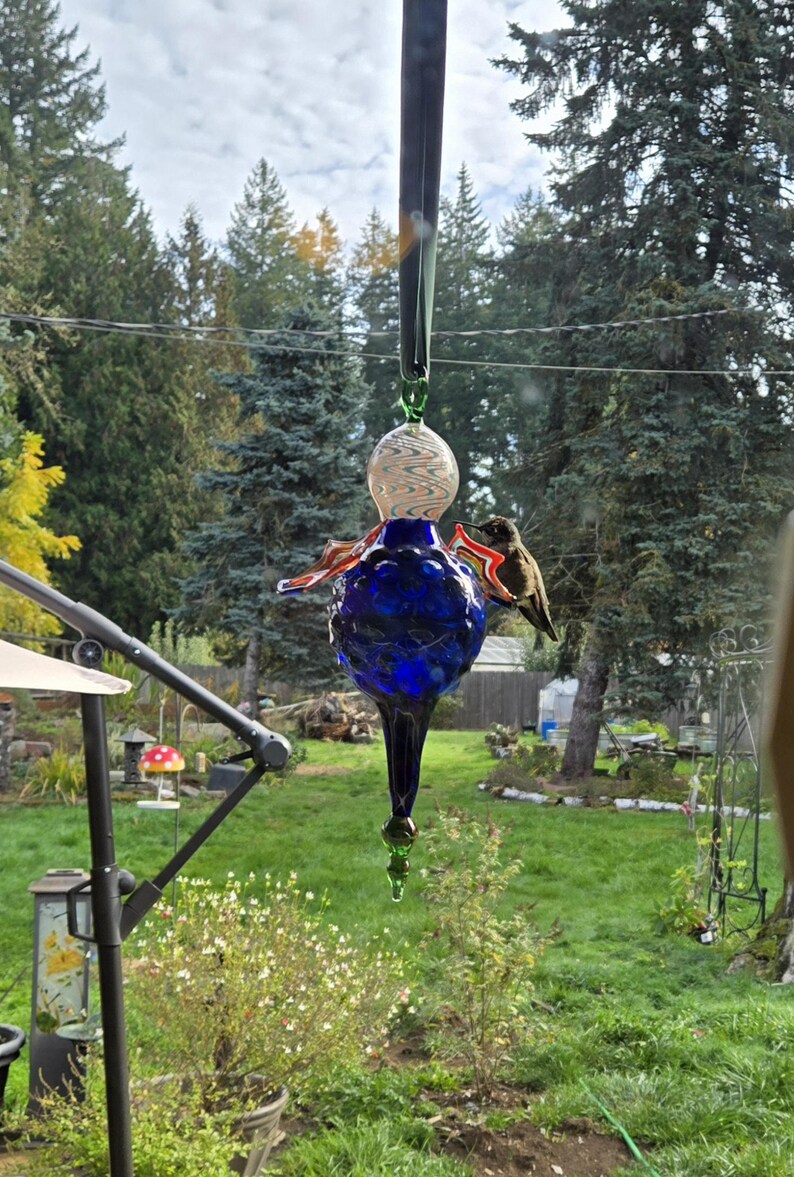 May include: A decorative glass hummingbird feeder with a blue, teardrop-shaped body and a clear, swirled glass globe. The feeder has red and orange accents and is suspended from a black rod. A hummingbird is perched on the feeder.