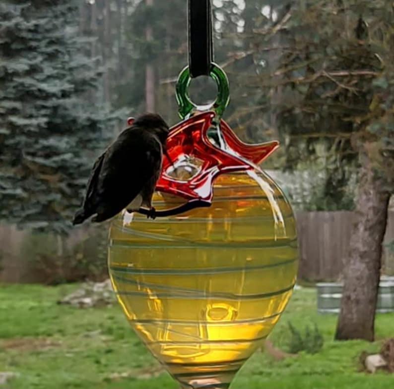 May include: A glass hummingbird feeder with a yellow globe and red star-shaped accents. A small black bird perches on a branch attached to the feeder. The feeder is suspended by a black strap with a green glass ring.