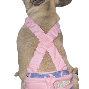 Puede incluir: Un perro marrón claro con un pañal rosa y azul. El pañal tiene un fondo azul con un estampado de personajes de dibujos animados y detalles en rosa. El pañal se sujeta con correas rosas.