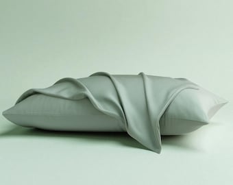 100% Natural Mulberry Silk Pillowcase, 22 Momme Silk Pillow Cover, 2pc Set, Envelope Closure, Standard, Queen, King & More Sizes Available