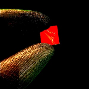 May include: A small, bright red square with a white design is held between fingers against a black background. The fingers are covered in a textured, dark glove. The image is brightly lit, with the red square as the focal point.