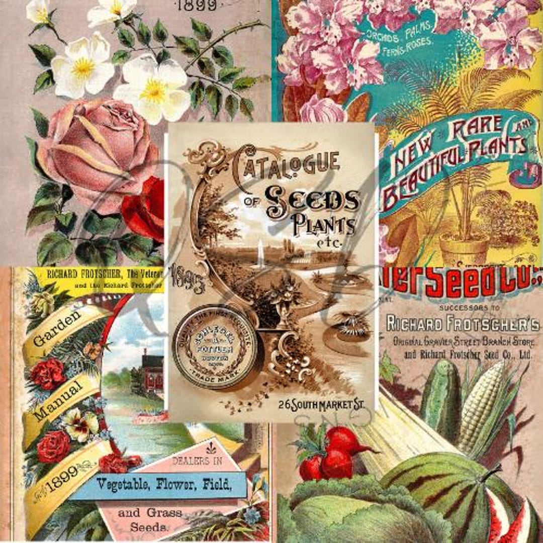 Vintage Seed Catalog Prints, Glossy & Matte Finish, Reproduction