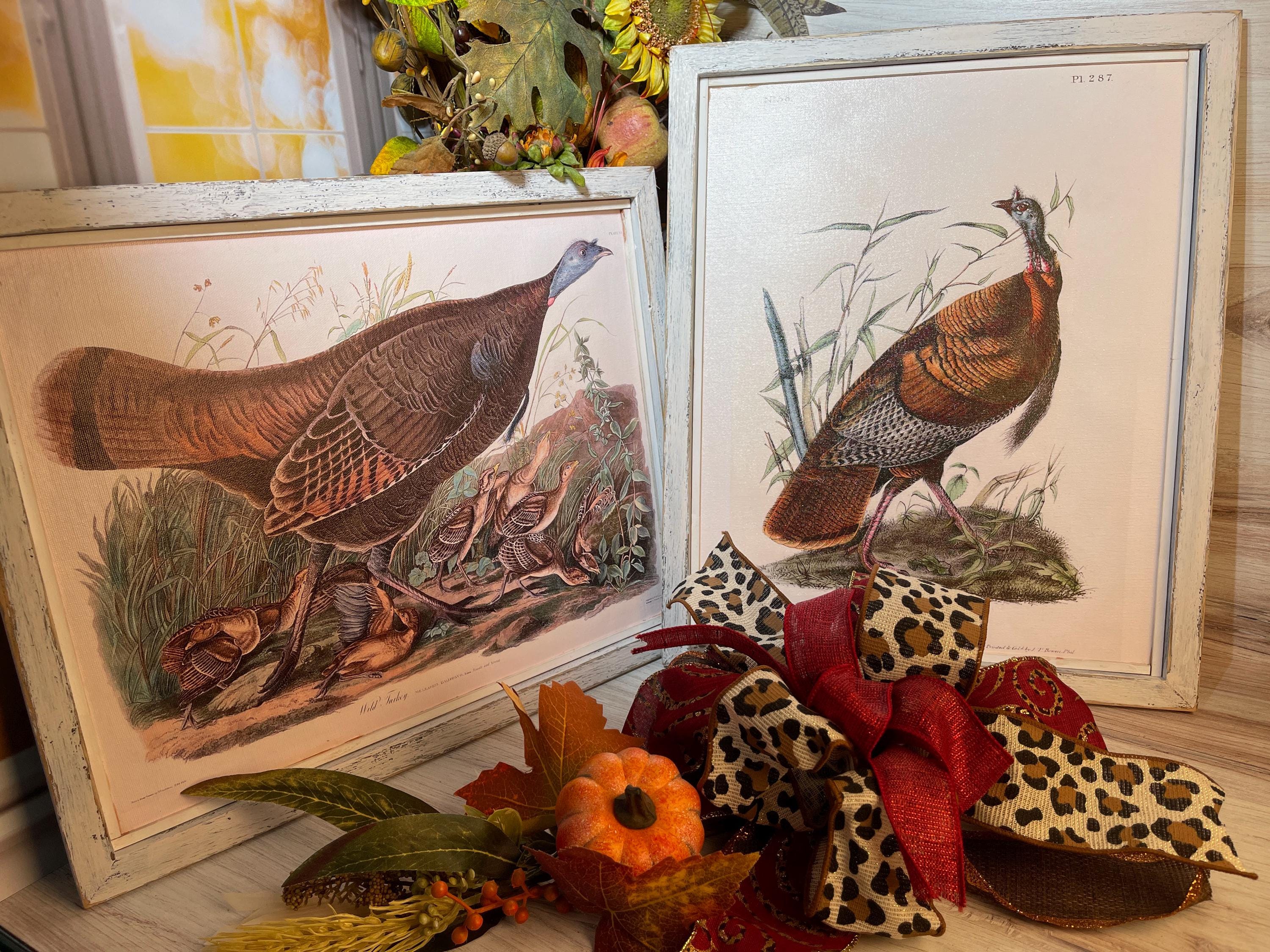 Audubon Wild Turkey Prints, Male Wild Turkey, Female Wild Turkey W ...