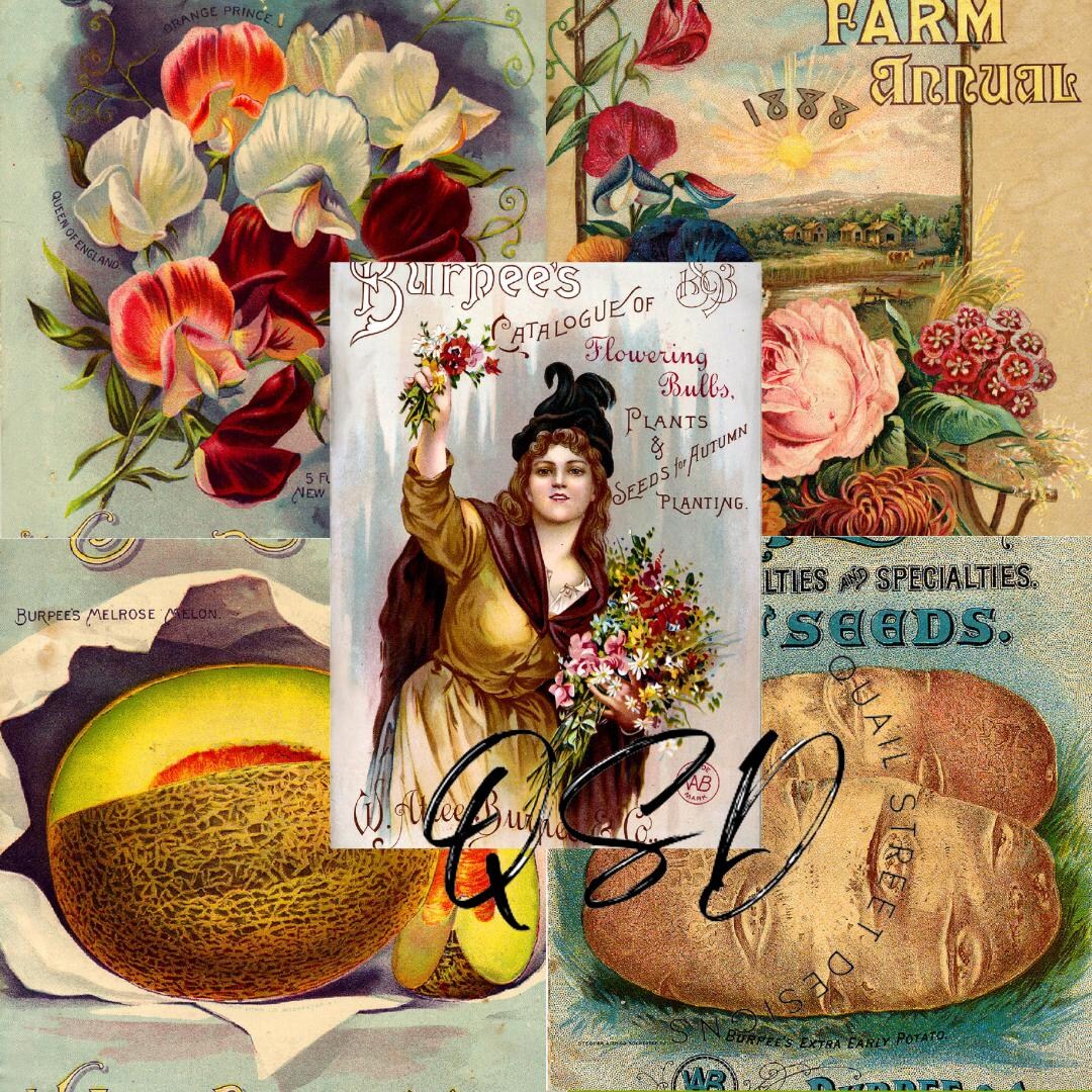 Vintage Seed Catalog Prints, Glossy & Matte Finish, Reproduction