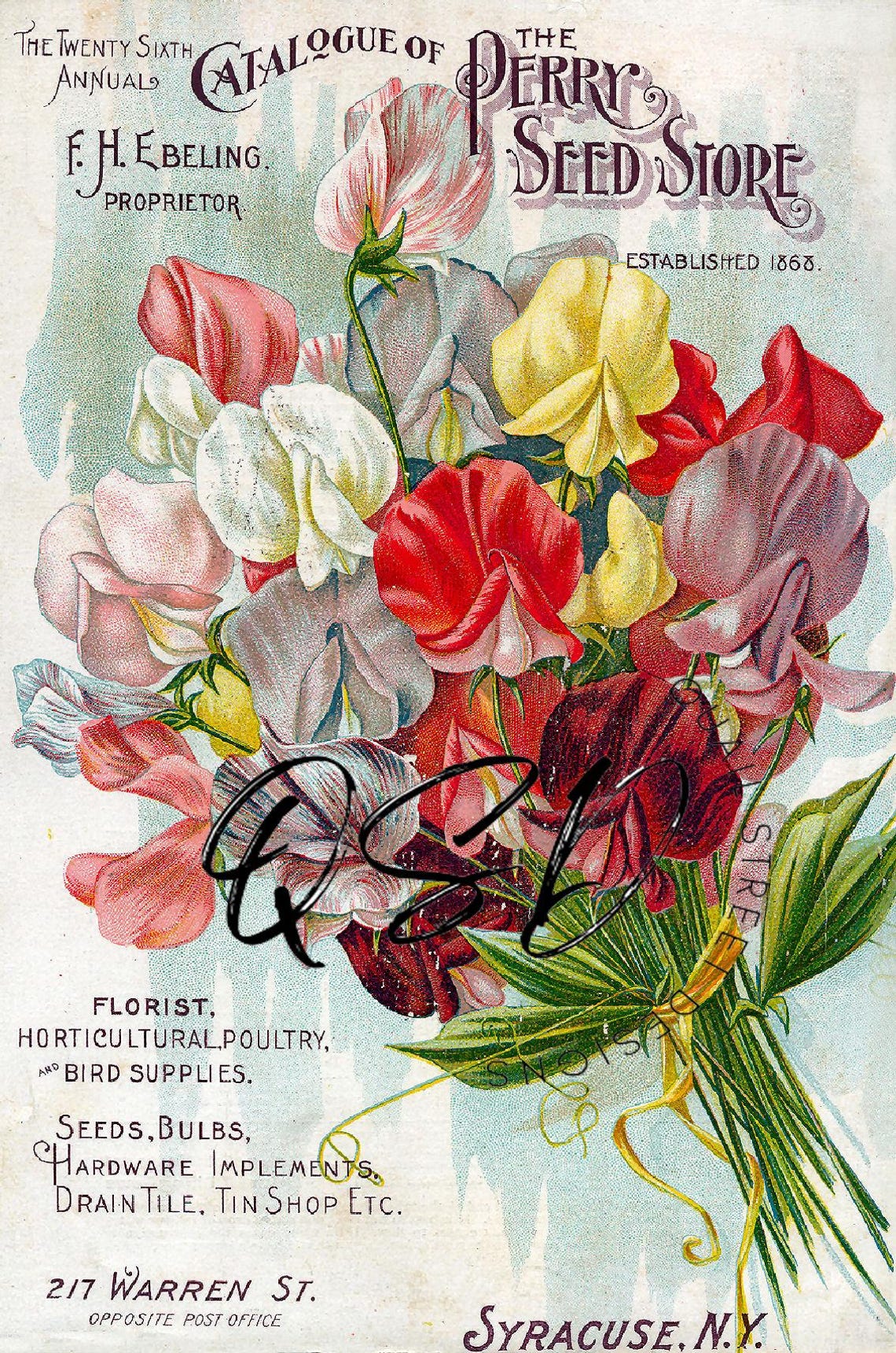 Vintage Seed Catalog Prints, Glossy & Matte Finish, Reproduction