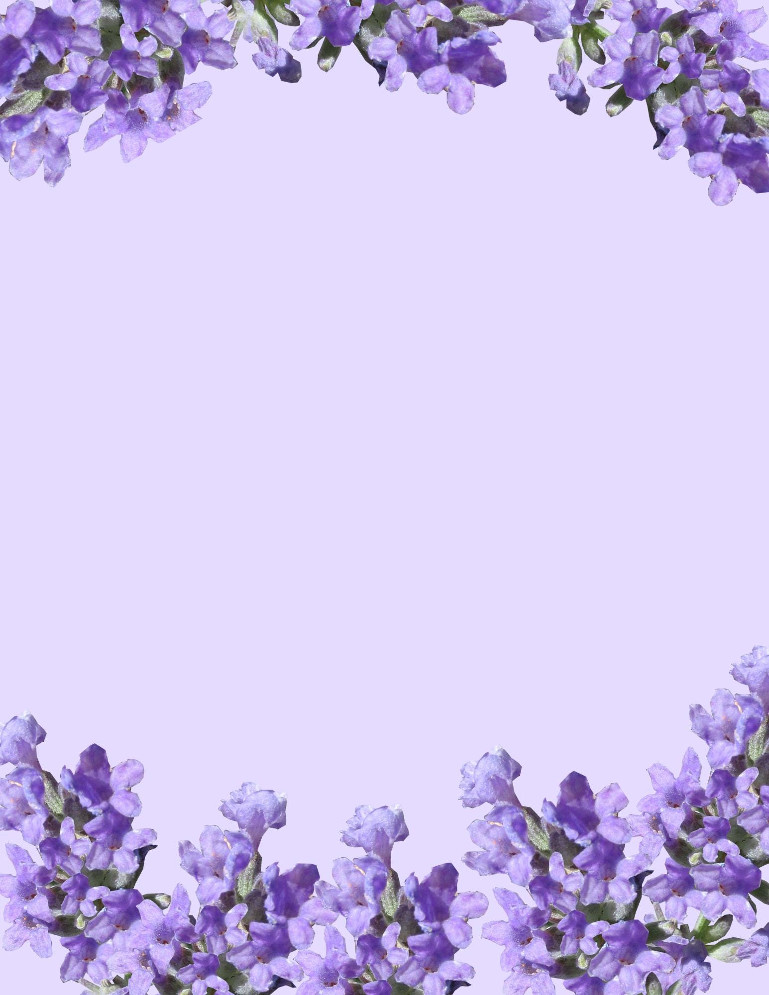 Lavender Floral Stationary Digital Print