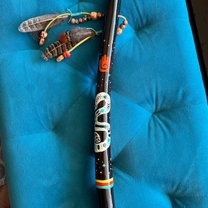 Painted Snake Spirit Stick: Driftwood, feather