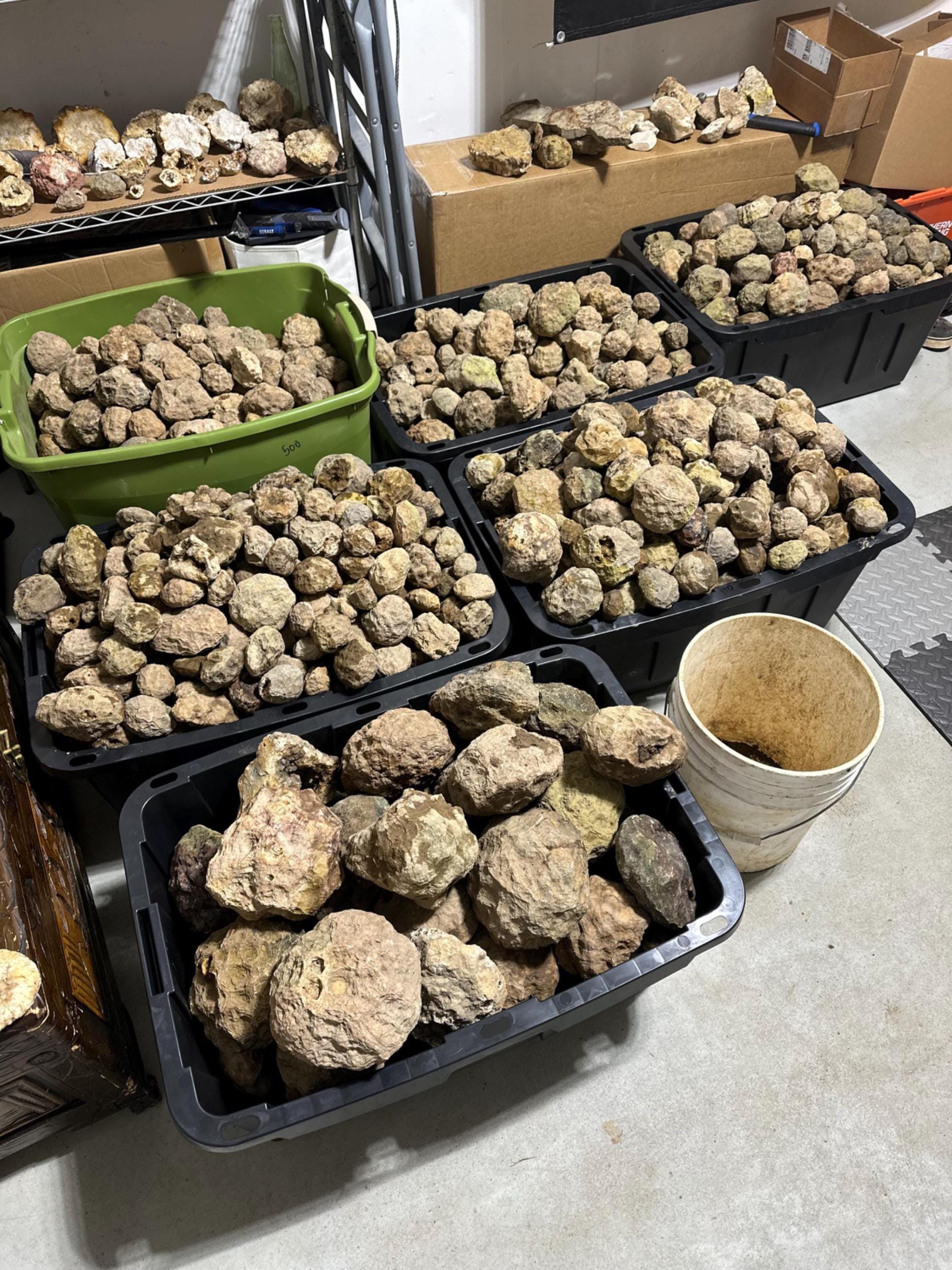 Box of 10 whole Kentucky Geodes. FREE SHIPPING. Best geode deal on Etsy.