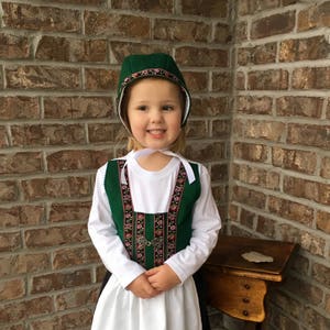Norwegian Bunad Dress International Costume SHORT SLEEVE