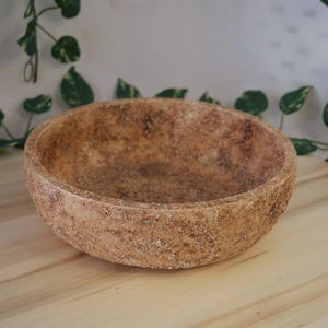 Peut inclure: Un bol rond et texturé, de couleur marron clair et moucheté. Le bol est fait d'un matériau rugueux et repose sur une surface en bois clair. Des vignes vertes et feuillues sont en arrière-plan.