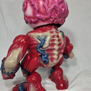 Puede incluir: Figura anat&oacute;mica roja y rosa con m&uacute;sculos, venas y cabeza con forma de cerebro expuestos. El juguete tiene un acabado brillante y una estructura esquel&eacute;tica detallada visible en la espalda. La figura est&aacute; de pie.