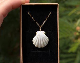 Rare Albino Hawaiian Sunrise Shell Gold Necklace