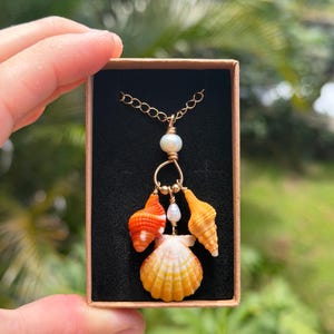 May include: A gold-toned necklace featuring a cluster of three natural seashells in shades of orange, yellow, and white, accented with two small white pearls. The pendant is suspended from a gold-toned chain and presented in a rectangular box.