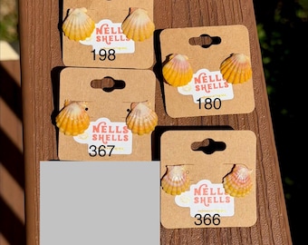 Mini Hawaiian Sunrise Shell Earring Studs