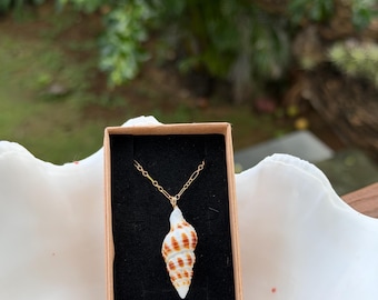 Spotted Spiral Shell Necklace (gold)