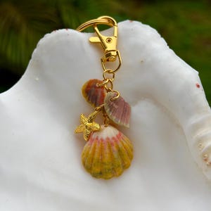 Gold Hawaiian Sunrise Shell Keychain/Purse Charm