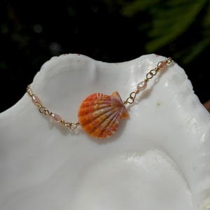 May include: A delicate bracelet featuring a central orange and white scallop shell charm, accented with small, pale pink pearls and connected by thin gold-toned metal links, creating a refined piece of jewelry with a natural aesthetic.