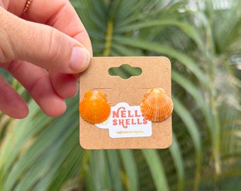 Orange Scallop Shell Earring Studs