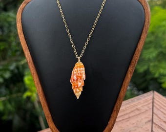 Gold Hawaiian Miter Shell Necklace