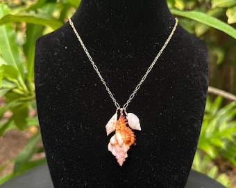Gold Murex Shell Charm Necklace (18.5in chain)