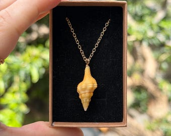 Juvenile Horse Conch Necklace