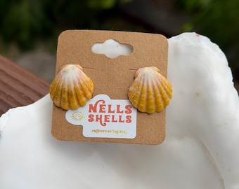 Hawaiian Sunrise Shell Earring Studs