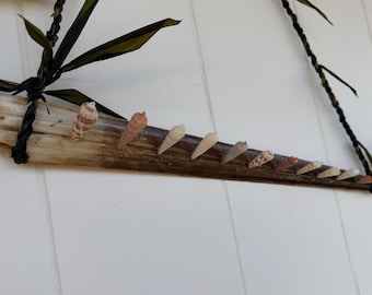 Swordfish Bill Jewelry Display With Hawaiian Auger Shells