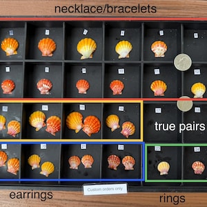 May include: A black rectangular organizer tray with twenty-four compartments containing various orange, yellow, and pink scallop shells. The tray features numbered labels, text reading necklace/bracelets, true pairs, earrings, rings, and Custom orders only.