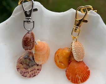 Scallop Shell Keychain
