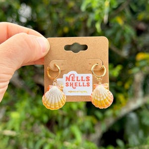 May include: Gold hoop earrings with seashell pendants. The seashells are white, yellow, and orange. The earrings are displayed on a brown card with the text "Nells Shells" and "Provided by the Sea."