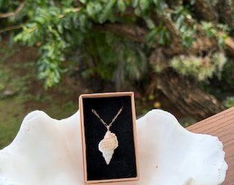 Fijian Drupe Shell Necklace (gold)