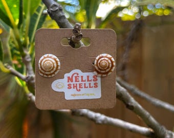Sundial Shell Earring Studs