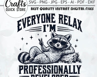 面白い先生Tシャツ、皮肉な先生Tシャツ、面白いアライグマ先生Tシャツ、専門能力開発Tシャツ、同僚へのギフト