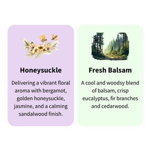 Puede incluir: Dos tarjetas con descripciones de fragancias. La primera, lavanda, presenta una ilustraci&oacute;n floral y la palabra "Honeysuckle". La segunda, verde claro, tiene una ilustraci&oacute;n de bosque y las palabras "Fresh Balsam".