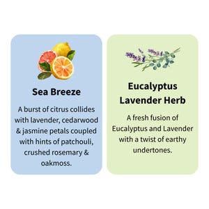 Puede incluir: Dos tarjetas rectangulares con texto e ilustraciones. Una tarjeta es azul claro con el texto "Sea Breeze" y una descripci&oacute;n del aroma. La otra tarjeta es verde claro con el texto "Eucalyptus Lavender Herb" y una descripci&oacute;n.