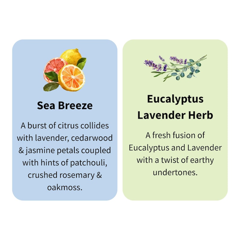 Puede incluir: Dos tarjetas rectangulares con texto e ilustraciones. Una tarjeta es azul claro con el texto "Sea Breeze" y una descripci&oacute;n del aroma. La otra tarjeta es verde claro con el texto "Eucalyptus Lavender Herb" y una descripci&oacute;n.