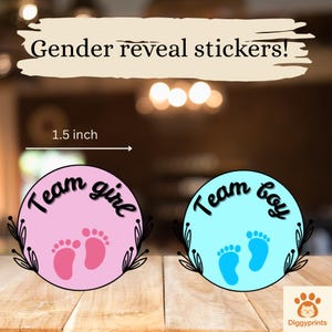 Pack d'autocollants de genre | Équipe Garçon Équipe Fille Autocollants De Fête Prénatale | Paquet de 22 - Parfait pour les fêtes de fin d'année et les baby showers - Imperméable